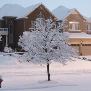 A nice neighborhood with a fresh blanket of snow. There are multiple houses and a few trees.